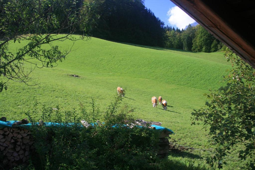 Ramsau bei Berchtesgaden Alpenhotel Beslhof חדר תמונה